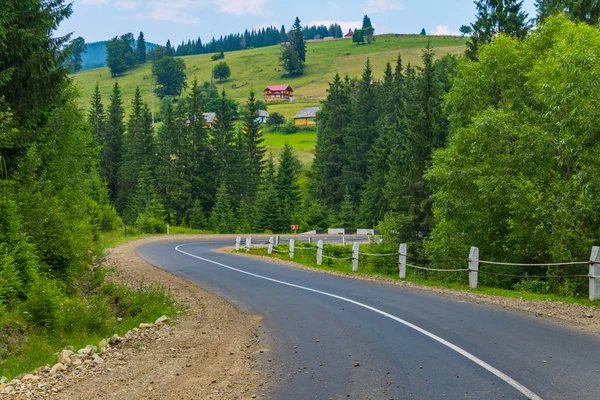 Asfalt yol ile bir yamaç çerçevede bir yeşil ağaçlar arasında bir bölen şeridi ile evler