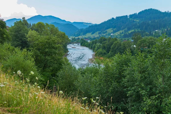 Alan chamomiles nehir aşağıda ve dağlar mesafe bakarak yalnız yamacında