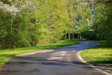 Bir asfalt yol bir yaz gününde yağmur sonra. Yol kenarında çiçek ve çim üzerinde büyüyen sarı-yeşil halı ile.