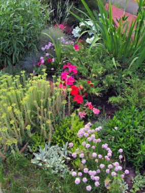 Bir çiçek yatak ile bir çok renkli çiçek ve dekoratif yeşil çalılar