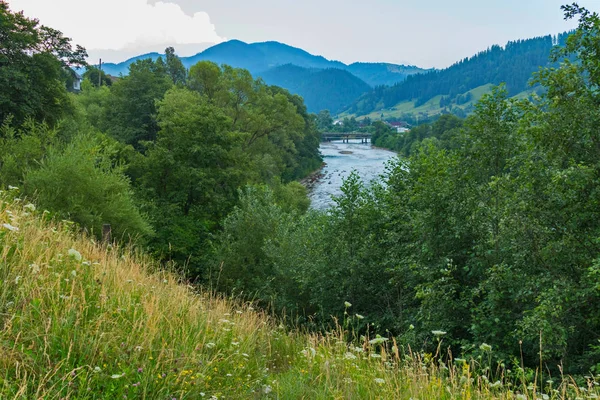 Çiçek açması bir yamaçta, ağaçlar ve bir nehir içinde belgili tanımlık geçmiş bir serseriyle. Ve mesafe Dağları görebiliriz