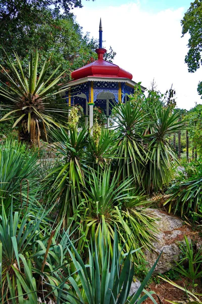 Palmeras con un mirador oriental con una cúpula roja en el fondo —  Fotos de Stock