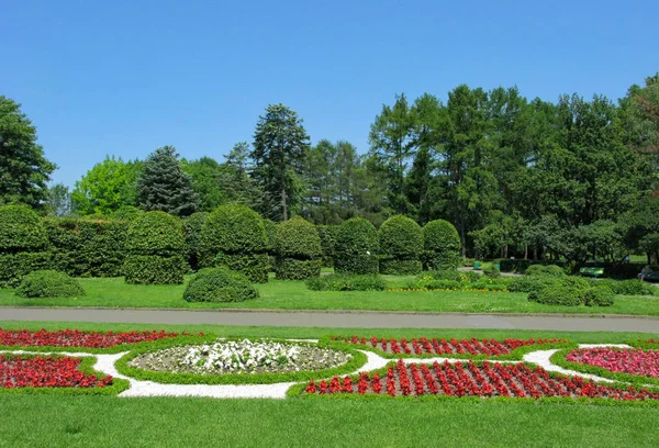 Contra um céu azul, um belo parque bem preparado com arbustos figurados, canteiros de flores decorativas e árvores verdes altas — Fotografia de Stock