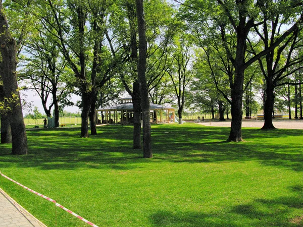 Beautiful gazebo in a park with a lawn and tall trees. You can sit, breathe air, drink a soft drink — Stock Photo, Image