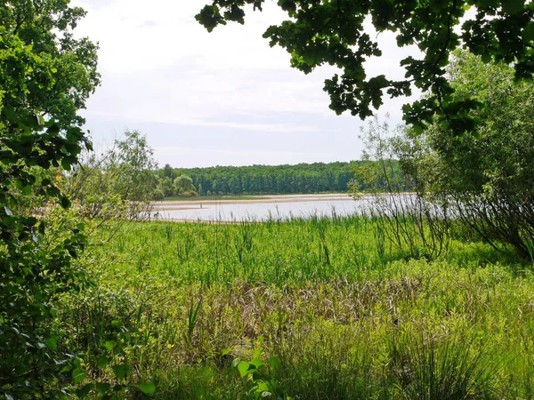 Egy természetes víztározó a távolban, a zöld és a sűrű erdő közelében a víz — Stock Fotó