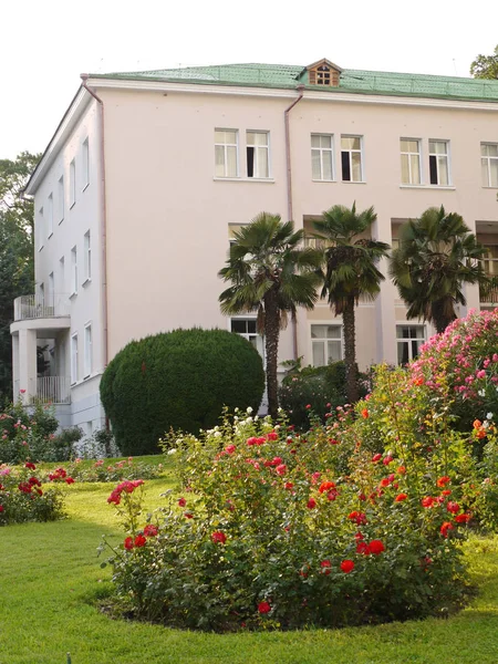 La esquina del edificio blanco con un techo verde, y cerca de ella crecen palmeras. Rodeado de un macizo de flores con rosas rojas — Foto de Stock