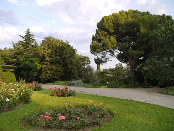 Vier bloemperken met rozen in de botanische tuin tegen de achtergrond van de hoge bomen — Stockfoto