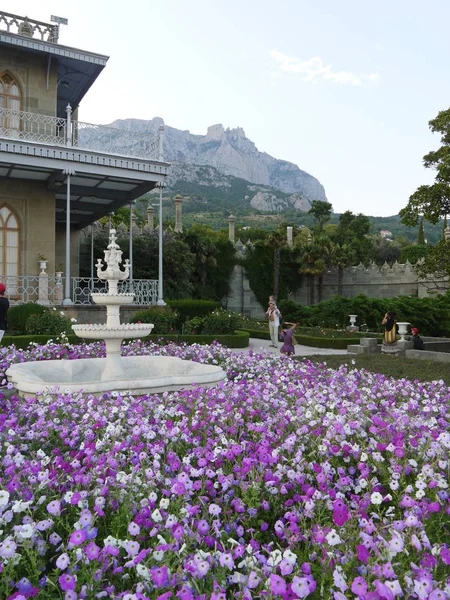 Díszítő szökőkút közepén egy virág-ágy, kis tarka virág, a háttérben egy gyönyörű palota és a magas Sziklás-hegység — Stock Fotó