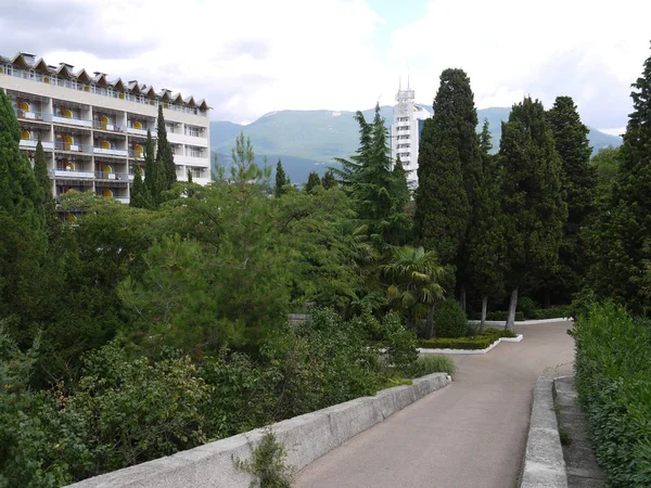 A park gyalogos alley, fut végig szépen nyírt abba az irányba, a szanatóriumban épület zöld bokrok — Stock Fotó