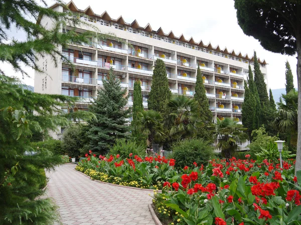 güzel park palmiye plantasyonları ve tatilciler için modern büyük otelin önündeki kırmızı güzel toplar ile