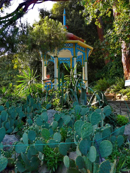 Красива різьблена синьо-біла альтанка серед кактусів і зелених дерев — стокове фото