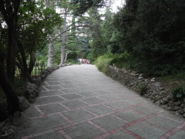 bir parkın içinde sokak boyunca uzanan bir grup turist üzerinde asılı ağaçlar ile bir Arnavut kaldırımlı tarafından kaplı