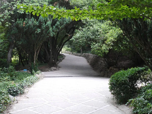 Il vicolo nel parco con fitti cespugli verdi alti e alberi piegati sul sentiero lastricato — Foto Stock