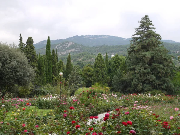 Περιβάλλεται από κήπο με ψηλά κωνοφόρα δέντρα με πολύχρωμα τριαντάφυλλα σε φόντο πράσινο του βουνού και του ουρανού — Φωτογραφία Αρχείου