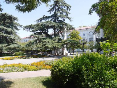 güzel bir çiçek açan park evleri ile şehrin anayol exit