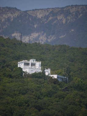 Güzel beyaz tesis yamacı üzerinde uzun boylu yeşil ağaçların gölgesinde bina