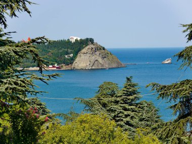 belgili tanımlık paws kayanın üzerinde gizlenen uzaktan ev ve denizin bir köknar ağacının arkasından güzel bir manzara