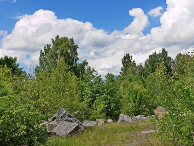 Bir bulutlu gökyüzü arka planı ormanın ortasında büyük taşlar