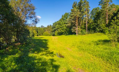 göl ve orman arasında yol