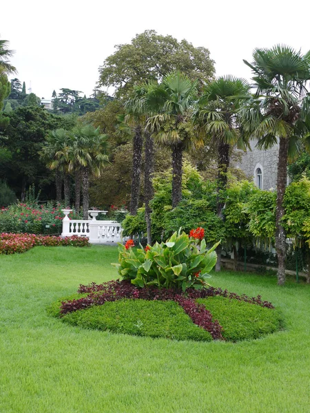 Césped verde esmeralda en el parque con un parterre de diseño en el centro en forma de un círculo con flores rojas creciendo entre las enormes hojas anchas . —  Fotos de Stock