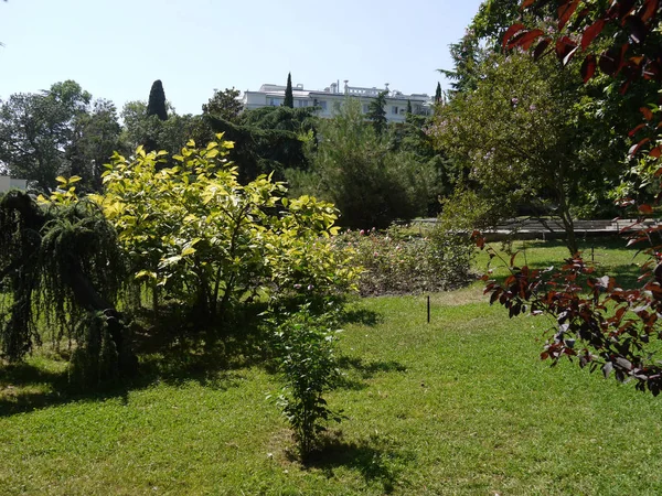 Zona verde do parque com canteiros de flores decorativos, arbustos e árvores no fundo do hotel — Fotografia de Stock