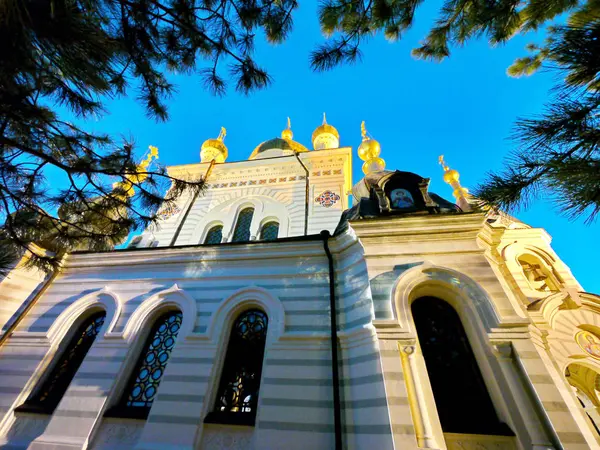 Kubah emas gereja dengan salib dengan latar belakang langit biru yang jernih dan cabang-cabang pinus — Stok Foto