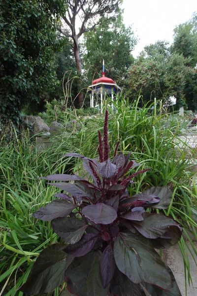 Ein Blumenbeet mit Zierpflanzen und großen Steinen auf dem Hintergrund eines Pavillons mit rotem Dach — Stockfoto