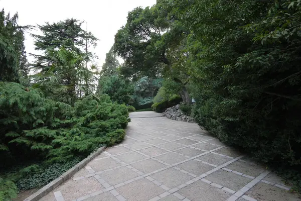 Piastrelle di pietra a piedi vicolo del parco con verdi trame decorative e fiori ai lati — Foto Stock