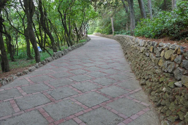 Превосходная дорожка в парке, выложенная черепицей с деревьями с одной стороны и низкой каменной стеной с противоположной — стоковое фото