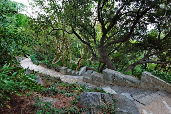 Una scala rivestita di pietra in un parco tra piante e alberi stravaganti — Foto Stock