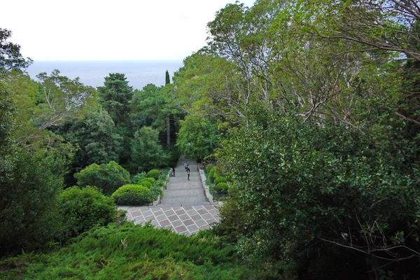 Buona vista dei gradini in pietra situati tra gli alberi decidui — Foto Stock