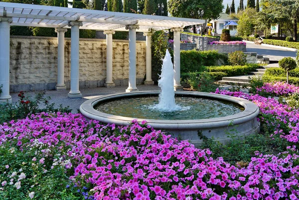 En chic look av en vacker blomster med rosa blommor växer runt en fontän av slog i en konkret skål på en klar sommardag. — Stockfoto