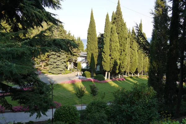 Όμορφη θέα του πάρκου με μονοπάτια πράσινο γκαζόν και λεπτό ψηλό σειρές των δέντρων με τις αιχμηρές κορυφές. — Φωτογραφία Αρχείου