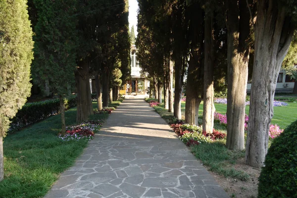 Un viale alberato con enormi cipressi ai lati, che conduce all'ingresso del complesso alberghiero — Foto Stock