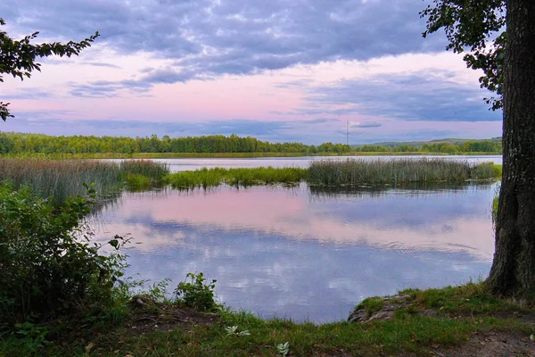 Růžová modrá sunset a krásné jezero rozděleno kosou s rákosím a jinými rostlinami — Stock fotografie