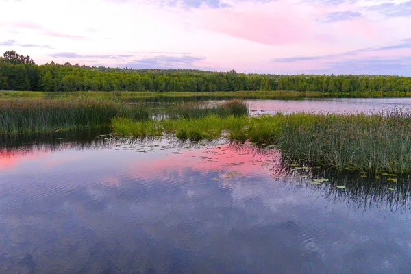 Pink evening sunset reflected in a transparent river surface against a background of green trees — Stock fotografie