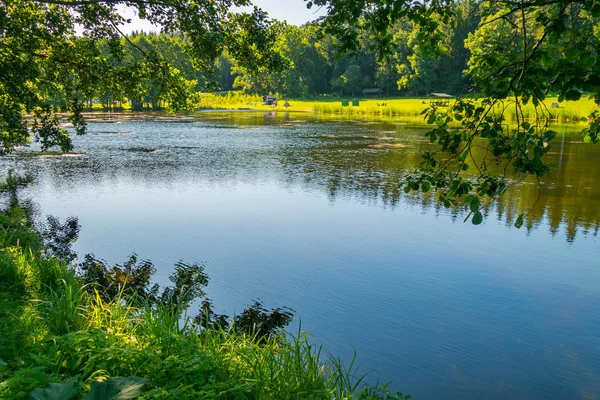 Krásná jezera s travnatými břehy v parku. místo pro rekreaci a rybolov — Stock fotografie