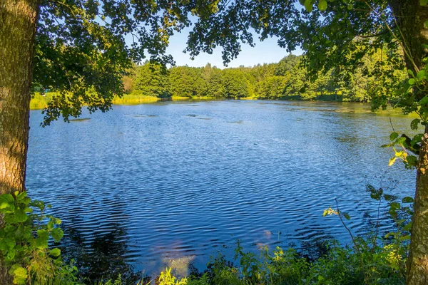 Modré jezero je mezi zelenými stromy, odrážející oblohu — Stock fotografie