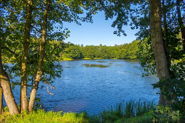 Povrchu modré vody jezera s stodoly v lese za jasného dne — Stock fotografie