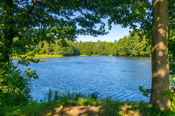 Light waves rock on the surface of the water near the green shores under the depressions — Stock Photo, Image