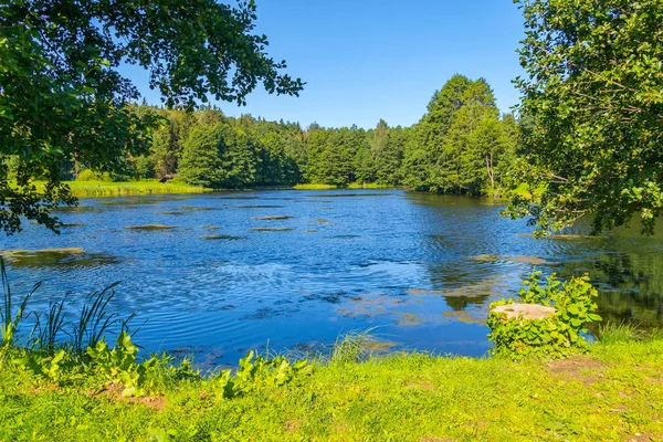 Красивое озеро с рябью на голубой воде, посреди зеленого парка под ясным голубым небом — стоковое фото