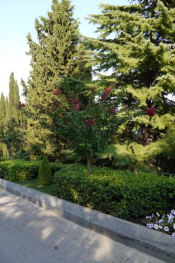 Bir mesire park sokak boyunca kenarlarından güzel dekoratif yeşillik ile