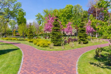 Bir yeşil dekoratif park alanı güzel ağaçlar ve çalılar için önde gelen bir kırmızı kiremitli salonu