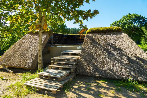 Uma piscina decorativa incomum com escadas feitas de paletes de madeira contra o pano de fundo da natureza pitoresca — Fotografia de Stock