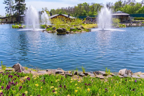 Uma paisagem alegre de um dia de verão com cores brilhantes suaves crescendo no banco de uma lagoa no parque contra o pano de fundo de fontes com água clara . — Fotografia de Stock