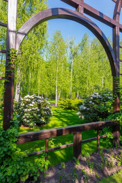 Vista del parco con betulle e rose bianche attraverso ringhiere in legno — Foto Stock