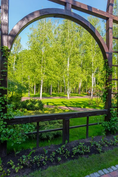 Bonito, verde, parque primaveril com vidoeiros. A foto é feita através de um corrimão — Fotografia de Stock