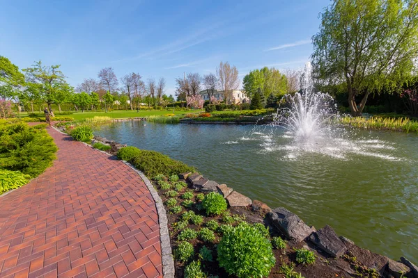 公园里的一条小路, 路过一个有喷泉的小池塘边。周围有绿色的草坪和开花的树. — 图库照片