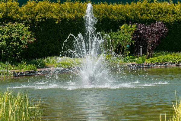 Una fuente alta rociando agua a lo largo del lago en el parque contra arbustos verdes — Foto de Stock