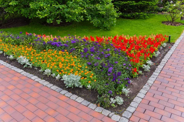 Sarok virágágyásba virágokkal világos narancssárga, kék és piros ellen a hátteret a sűrű, zöld bokrok cserepes kerti utak kereszteződésénél — Stock Fotó